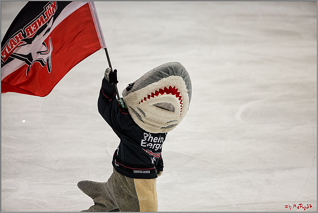 DEL, Koelner Haie - Augsburger Panther, 13.01.2017